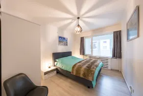 Ostend Center Parkview Apartment + Free Parking - Image 5