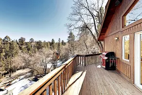 Bearadise Log Cabin w/ AC, Forest Views & Charm - Image 3