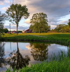 Farm house, River, Island, animals & private Chef. - Image 5