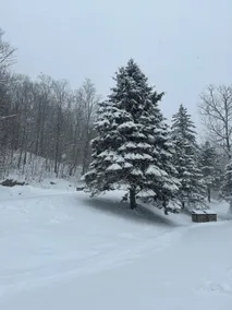 Cozy condo near Ludlow, Okemo & Killington - Image 4
