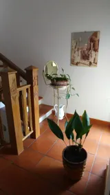La casa di Giovanni - Image 5