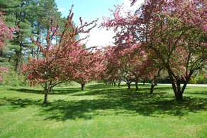 Sunnybrook House - Image 4