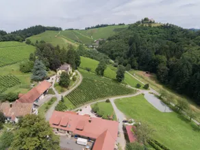 Wine Lodge Durbach - Castle View - Image 4