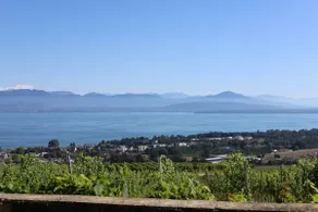 Chasselas apartment with views of Lake Geneva - Image 5