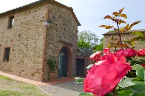 Casa delle Rose - Image 4