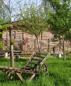 ”Head in the Stars” Treehouse - Image 5