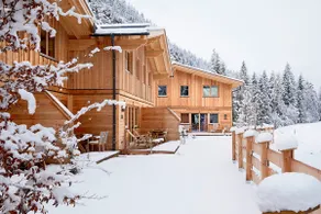 Zugspitz Lodge - Image 4