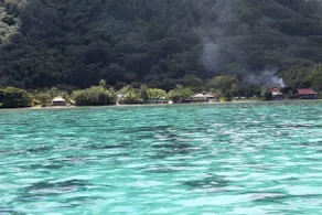 Rose Moorea- beach - Image 3
