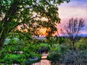 #1 Luxurious Lake Retreat, Breathtaking Views! 5★ - Image 5