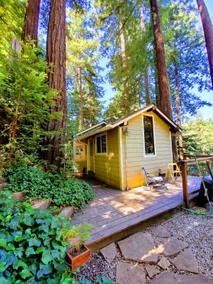 The Artists' Tree House - Image 2