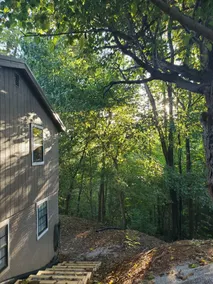 1/4 mile from Holly Creek Marina-2700 sq ft split level cottage Walkout basement - Image 4