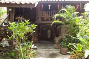 guest house in the trees - Image 3
