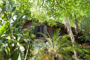 guest house in the trees - Image 2