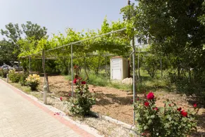 Eliofos Luxury Villa - Image 2