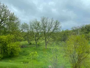 Peaceful Home on Two Acres - Image 3