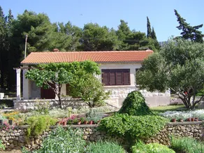 Prime location, 50 m from the beach - Image 5