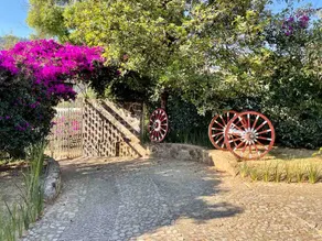 Finca Santa Teresa Tenancingoa 35 minutes from Malinalco - Image 3