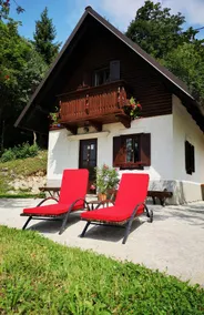 Apartment Kopiše - Image 3