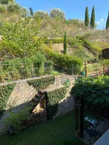 Looking at Chianti - Image 4