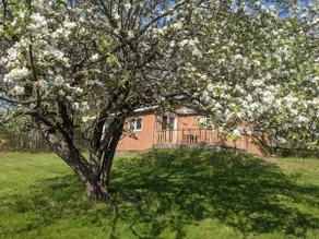 Whispering Oaks Cottage on Washademoak Lake - Image 4