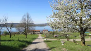 Vista lago in cascina- Amazing view countryhouse - Image 2