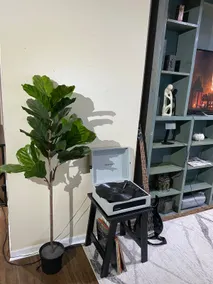 Charming retreat w/fireplace - Image 3