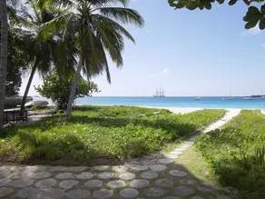 Twin Palm, on the Beach,  Garden Apartment - Image 5