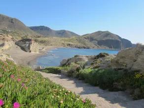 La Isleta - Image 4