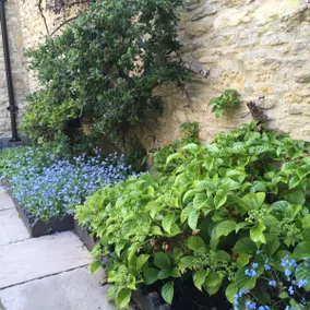 A secret hideaway in the heart of Stow on the Wold - Image 4