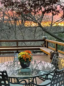 Mid-Century Modern Treehouse in Sherman, Texas - Image 3