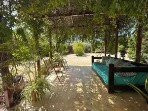 Tropical Oasis in Downtown – 5 min walk to the Pier - Image 4