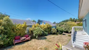 The lemon haven in Arcata - Image 4