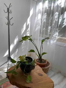 2+1 with garden, within walking distance to URLA Art Street - Image 3