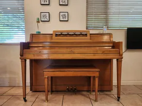 Fun Eclectic Home: near ASU, downtown, airport - Image 3