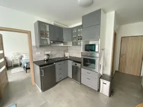 New mountain apartment in the Jizera Mountains - Image 2