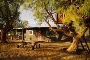 High Desert Hygge House Dog Heaven 5 Acres - Image 3