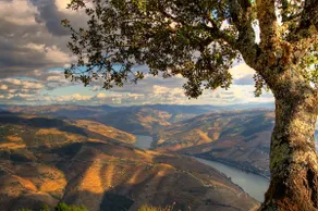 Royal House, a paradise in the Douro (29931/AL) - Image 2