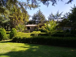 Los Angeles Shelter (♿pet friendly level one) - Image 2