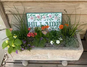Hillside - Image 5