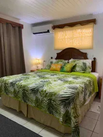 Palm Tree Room - Image 4