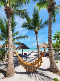 Villa Palmeras - 6 Bedrooms Beachfront - Image 4