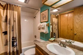 Updated 1 Br - Ski-In Ski-Out Access Condo - Image 4