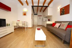 Sant Miquel Homes Penthouse - Image 2