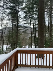 Peaceful Pines Where nature meets casual comfort - Image 3