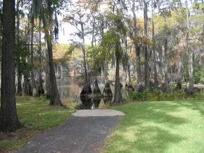 Certain Grace Lakehouse, LLC - Image 4