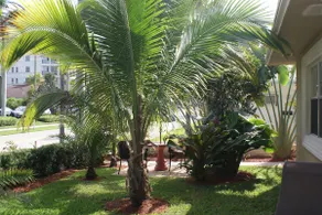 STEPS TO THE BEACH in Palm Beach Shores FL - Image 2