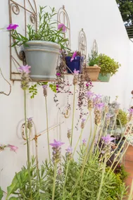 HUMMINGBIRD GARDEN COTTAGE* HIDDEN GEM IN BROOKLYN - Image 3