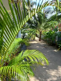 sweet home phangan n5 - Image 2