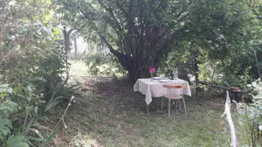 Jura - Arbois - Belvedere Cottage - House sleeps 20 - Image 4
