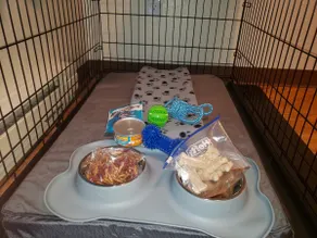 Bring your pet no pet fees King bed A/C 1bdrm Jblm - Image 4